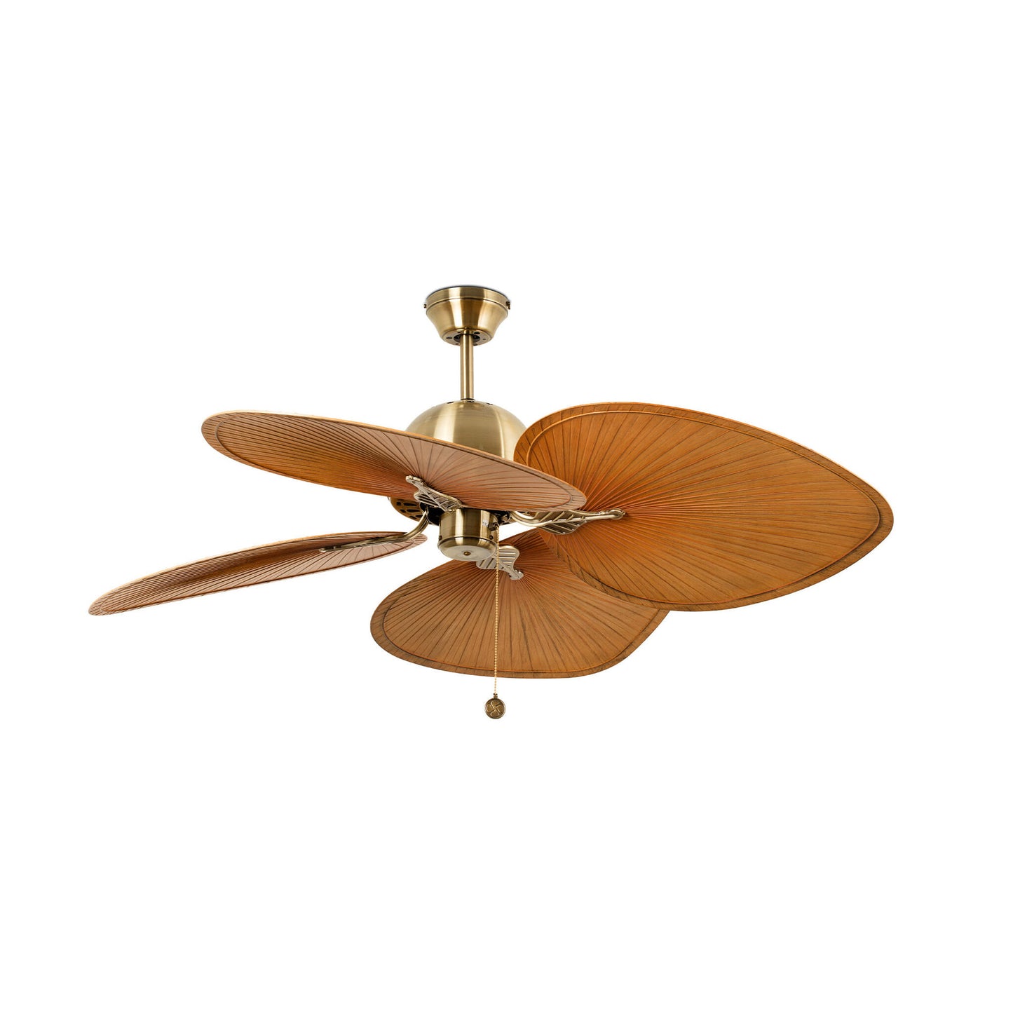 CUBA L Old gold/brown fan