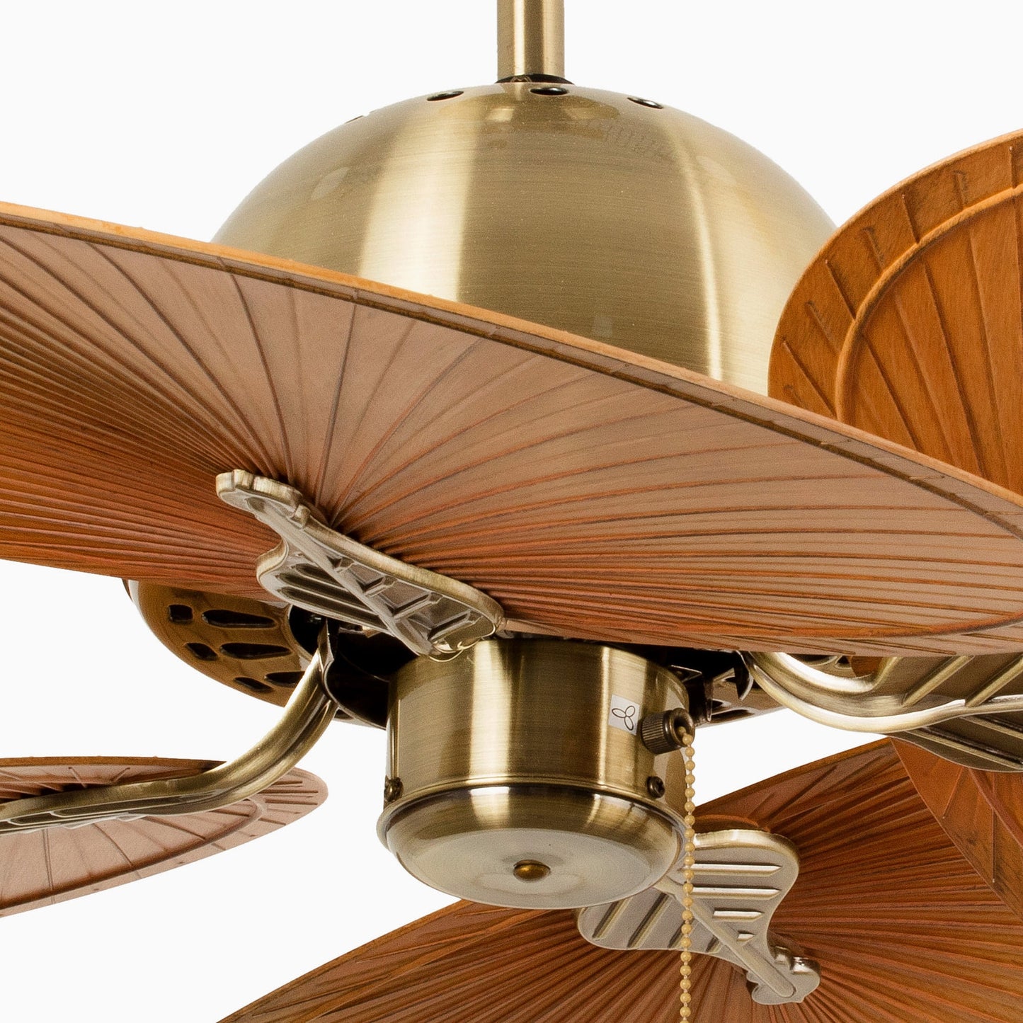 CUBA L Old gold/brown fan