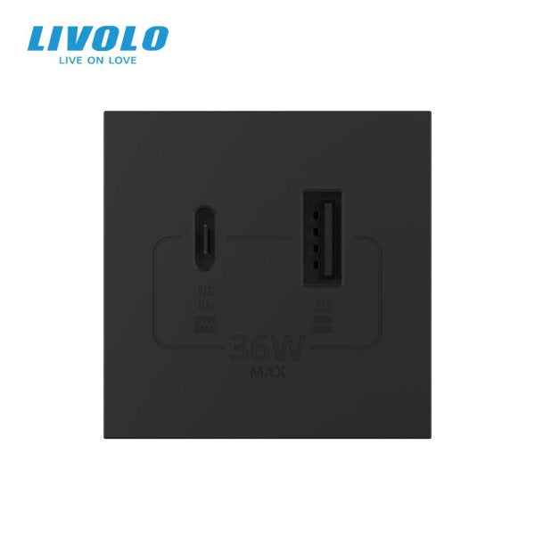 Modul / USB-1A1C 36W 45mm*45mm bijela, crna, zlatna i siva
