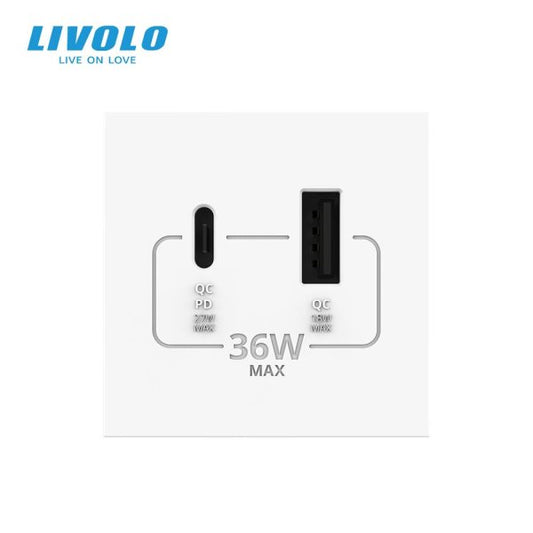 Modul / USB-1A1C 36W 45mm*45mm bijela, crna, zlatna i siva